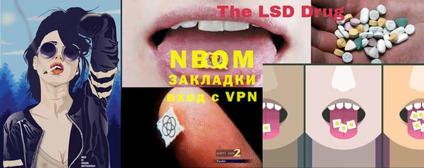 PSILOCYBIN Балабаново