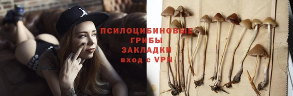 ПСИЛОЦИБИНОВЫЕ ГРИБЫ Балахна