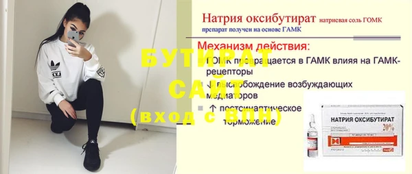 сатива Россошь