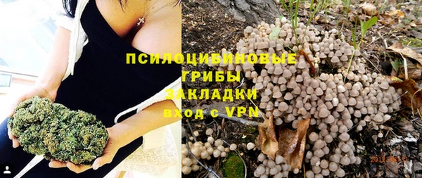 тгк Баксан
